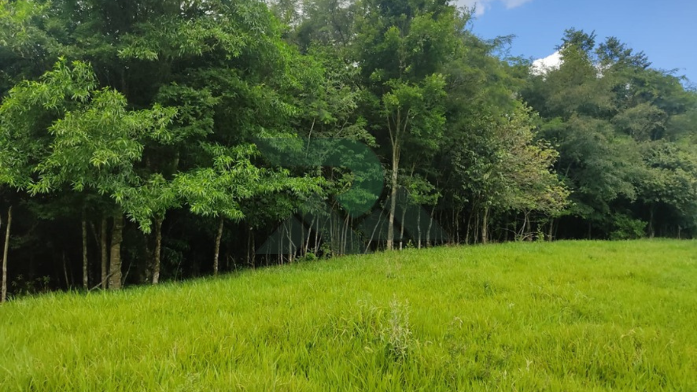 Sítio 16,8 hectares