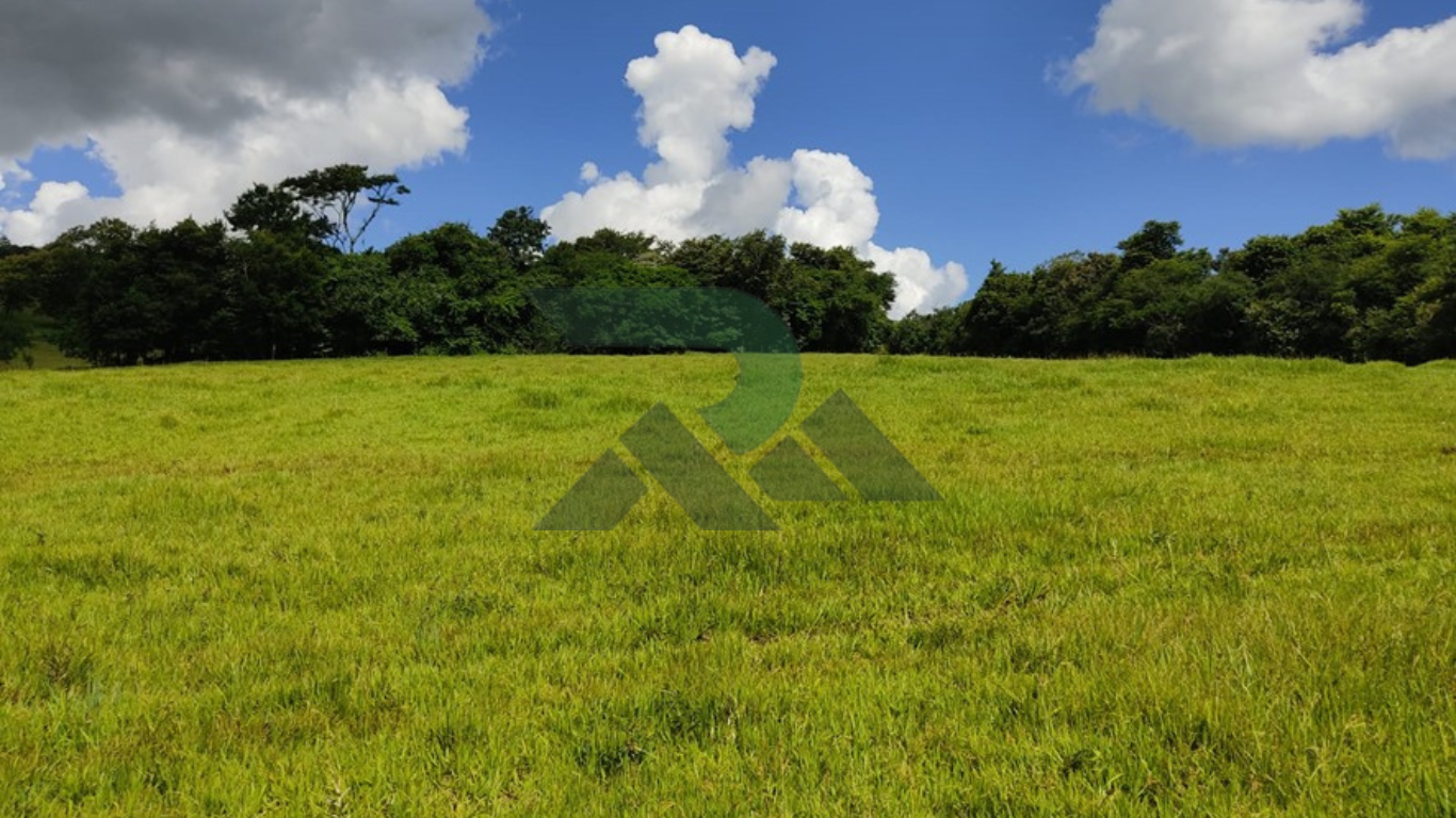 Sítio 16,8 hectares