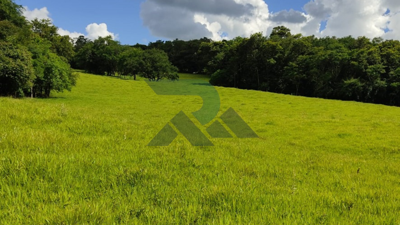 Sítio 16,8 hectares